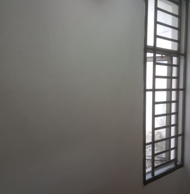 water seepage, mold , paint peeling wall after repair