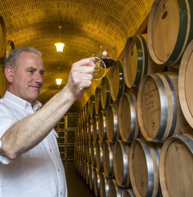 Bodegas Casajús en la Ribera de Duero. Vinos espectaculares. NIC, Doña Len, Albillo Mayor, ...