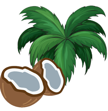 coco voyage france guadeloupe