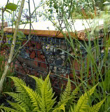 Gabion filled with reclaimed building materials seen through planting including Betula utilis var. jacquemontii multi-stem