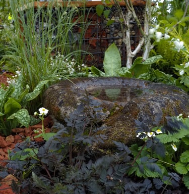 An ammonite has been turned into a water feature