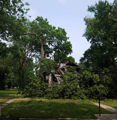 Storm damage tree in Shawnee Kansas Emergency response