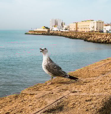Nordspanien Atlantikküste