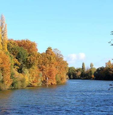 Seine, Fluss, Herbst
