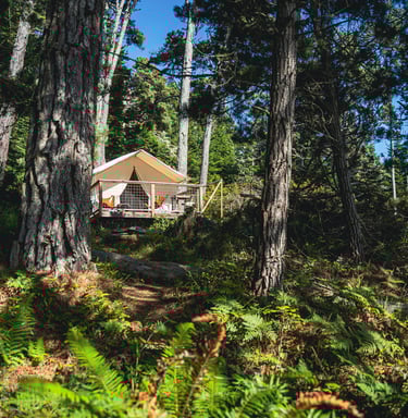 Glampingzelt im Wald