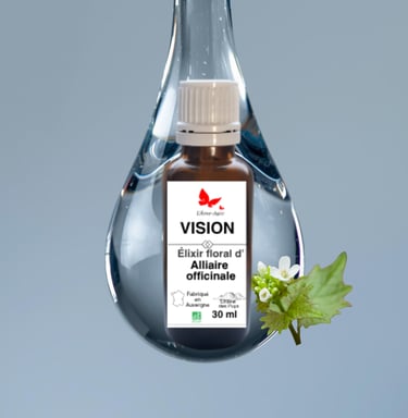 Flacon élixir floral VISION, L'Âme-Agie.