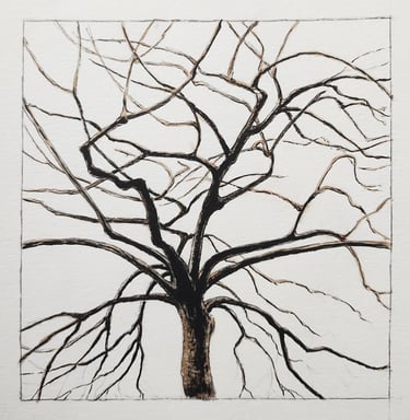 A stark representation in ink of a tree in winter daylight
