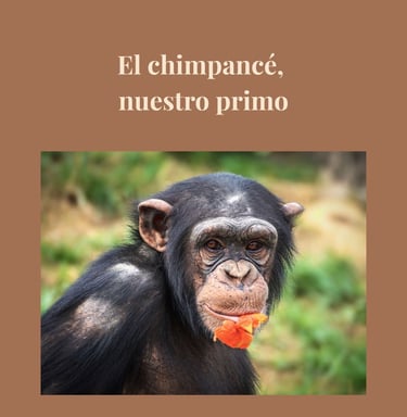antropologia cultura huesca