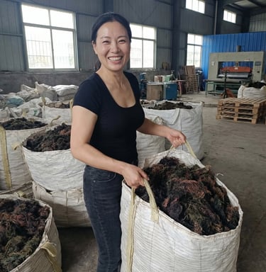 Dried Gracilaria seaweed 15% moisture and 3% impurity for agar-agar, Agriculture and Cosmetics