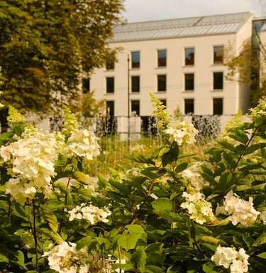 Želdyno projekto nuotrauka