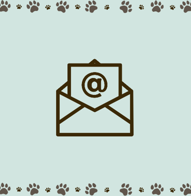 contact e-mail