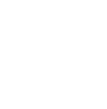 Practitioner Logo