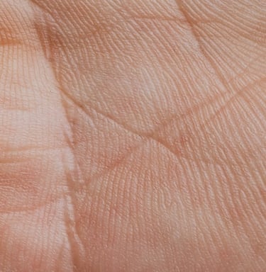 top best expert palm reading expert palmist toronto north york scarborough brampton mississauga