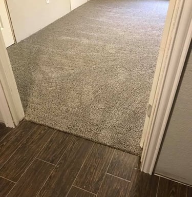 carpet services bozeman mt, carpet installers in bozeman mt
