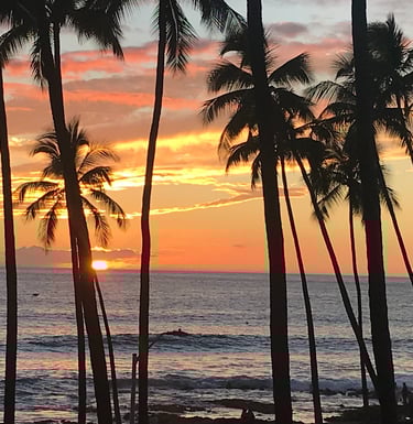 a sunset over the ocean with palm trees