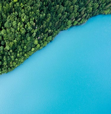 water near a forest