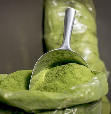 Moringa leaf powder