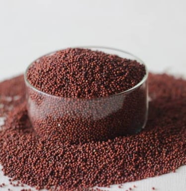 ragi, finger millet
