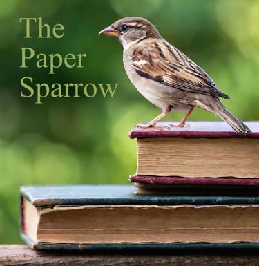 Image for The Paper Sparrow online store