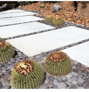 Xeriscaping for curb appeal