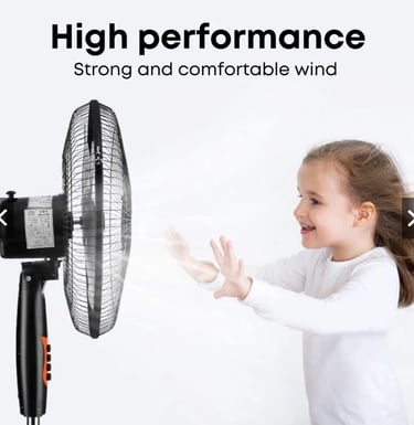 Stand Fan