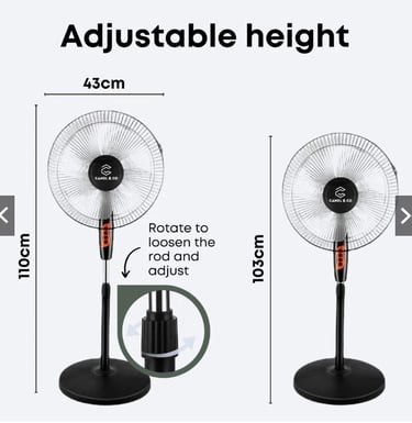 Stand Fan