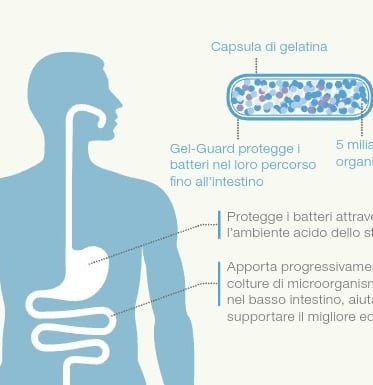 integratore di probiotici