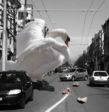 Fotomontage mit Schwan in der Stadt – Beispiel aus dem Kurs Photoshop Composing Basel.