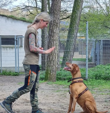 Einzeltraining |  Susanne Scholl im Training 
