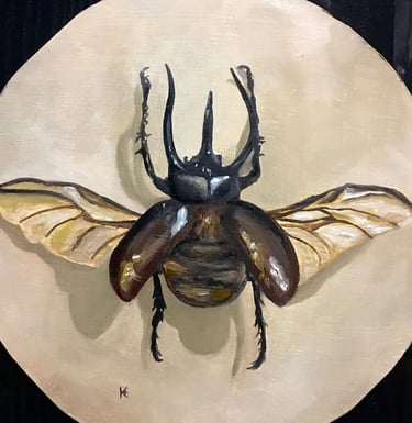 Rihnoceros Beetle