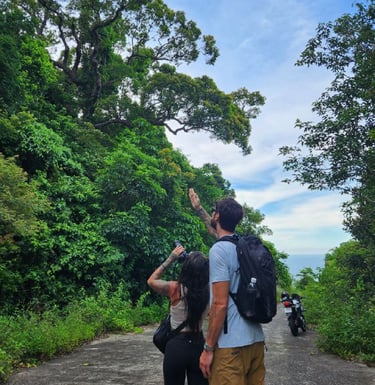 Tourists enjoy watching the langur hiding on the tree in Da Nang.