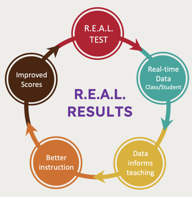 Global initiatives - R.E.A.L Results