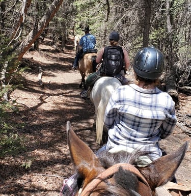 a group of people riding horses down a trail