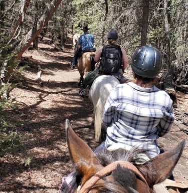 a group of people riding horses down a trail