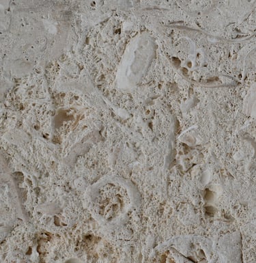 CAC Coral Brushed Shellstone