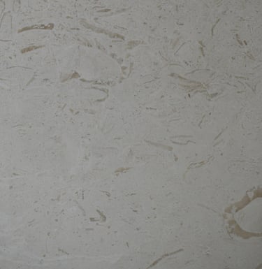 Ocean Reef White Honed Shell Stone