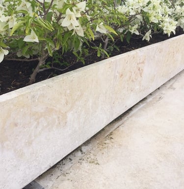 natural shellstone wall