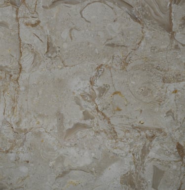 Shells Reef Beige Brushed shell stone