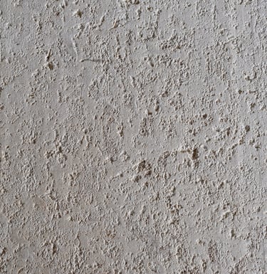 TA Coral Natural Shell Stone