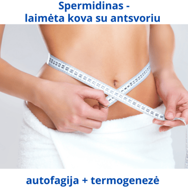 Spermidinas skatina autofagiją ir degina riebalus