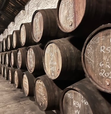 port wine tasting