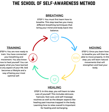 An informative graphic to explain the School of Self-Awareness Method