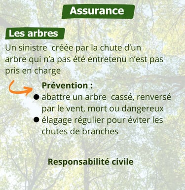 Franck Rénovation entretien du jardin