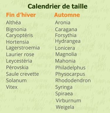 Franck Rénovation entretien du jardin