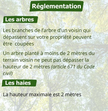 Franck Rénovation entretien du jardin