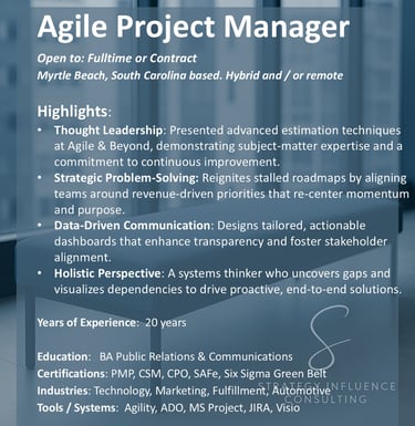 Agile Project Manager for hire