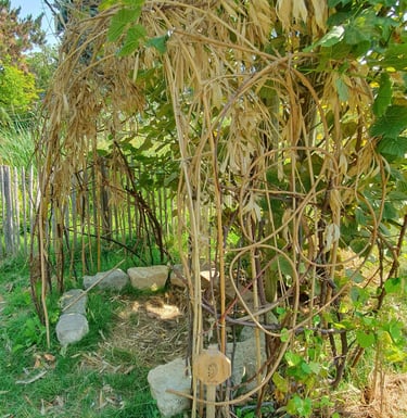 jardin des 5 sens cabane de l'ouie