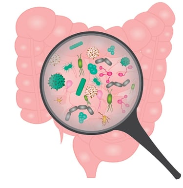 SIBO bacterial overgrowth