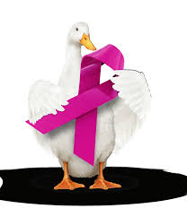 aflac cancer duck