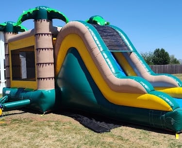 Tropical palm tree water slide rental setup in Oklahoma City